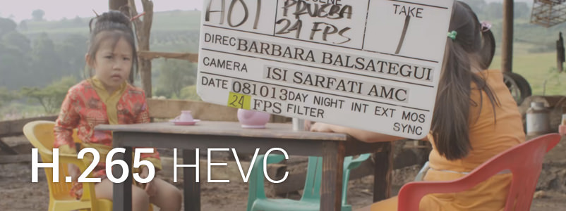 H265 Banner