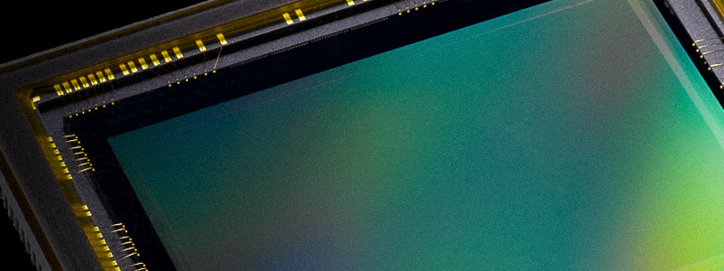 Blog BMPCC Light Banner